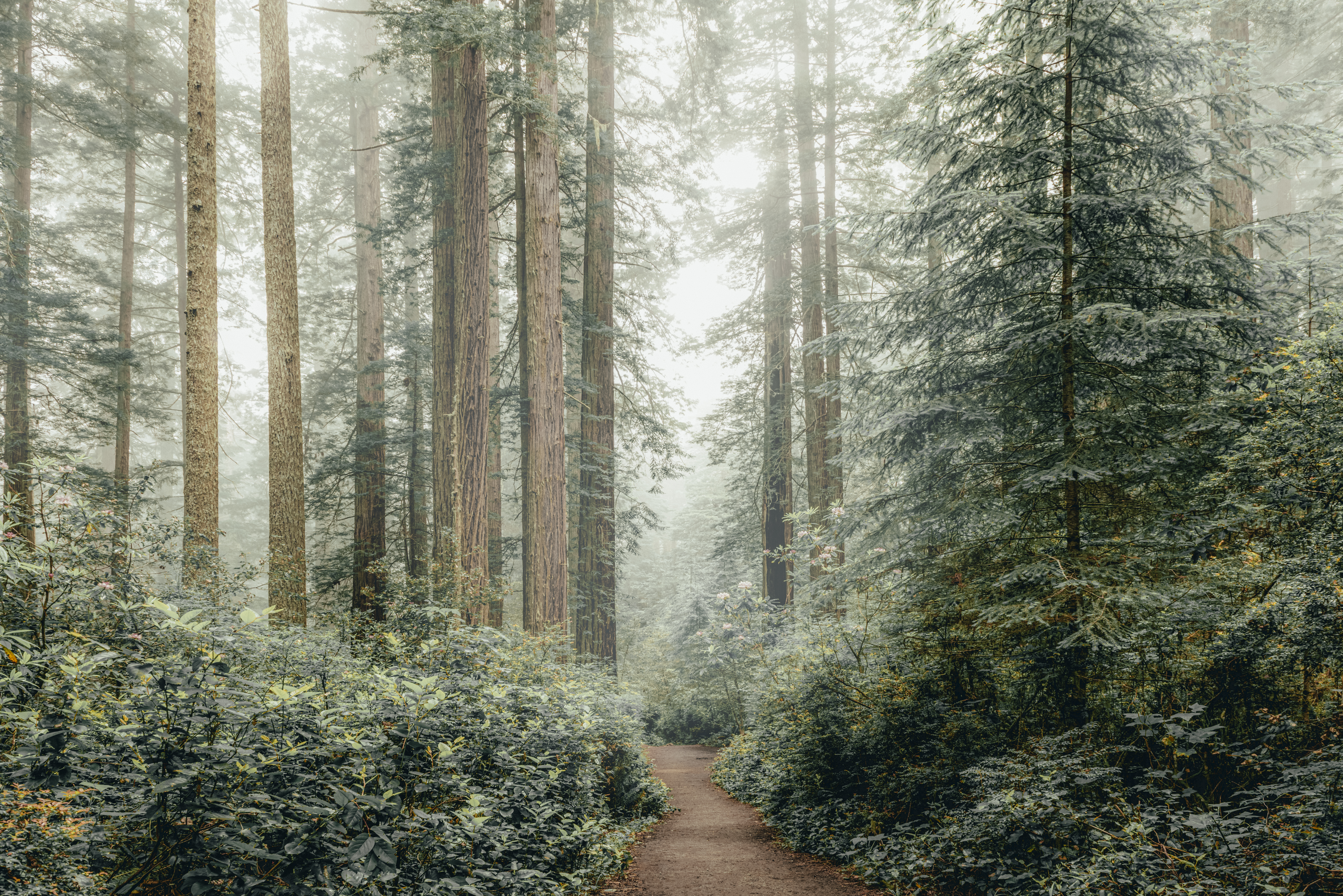 How Do You Process Your Environment?