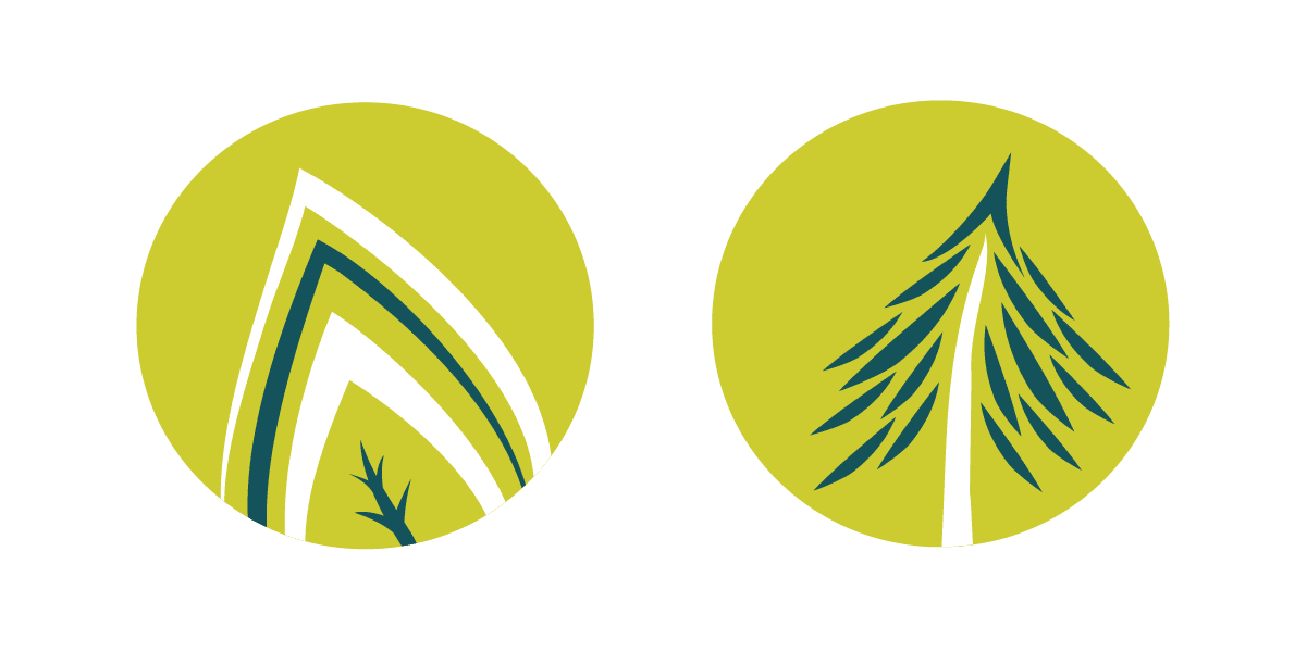 Changing Leaf or Evergreen